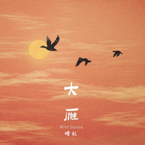 Album 大雁 from 暗杠