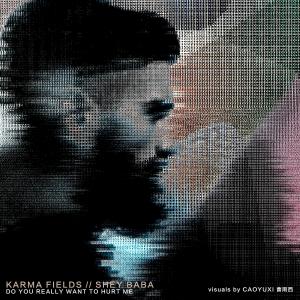 Album Do You Really Want to Hurt Me from Karma Fields