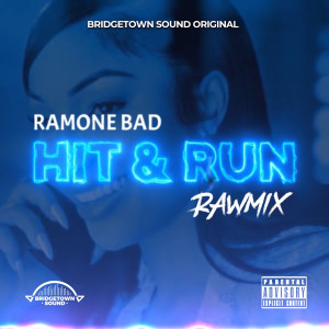 Album Hit & Run (Rawmix) [Explicit] from 