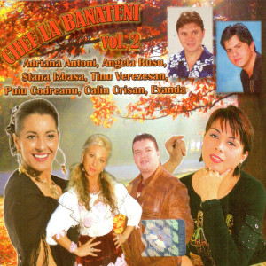 Album Chef la Banateni, Vol. 2 from Various