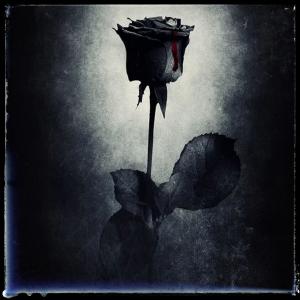 Listen to Rosa song with lyrics from Blanxon