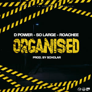 D Power Diesle的專輯Organised (Explicit)