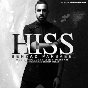 Listen to Hiss song with lyrics from Behzad Parsaee