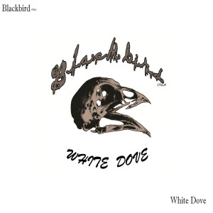 ดาวน์โหลดและฟังเพลง White Dove พร้อมเนื้อเพลงจาก Blackbird sthlm