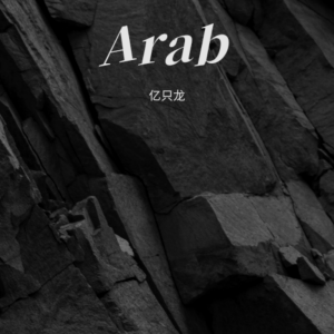Album Arabic from 亿只龙