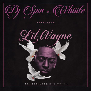 Listen to Til She Lose Her Voice (feat. Lil Wayne) (Explicit) song with lyrics from DJ Spin