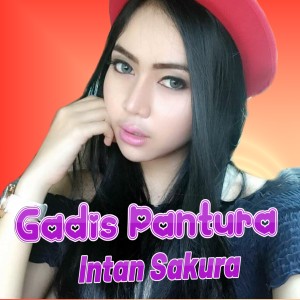 Listen to Gadis Pantura song with lyrics from Intan Sakura