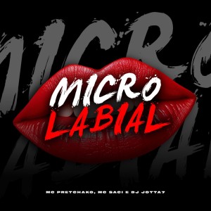 Listen to Micro Labial (Explicit) song with lyrics from MC Saci