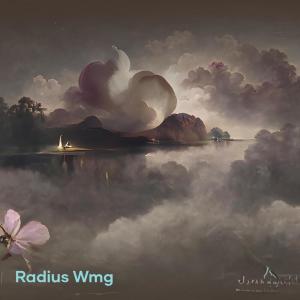 Listen to Penantian Violin song with lyrics from Radius WMG