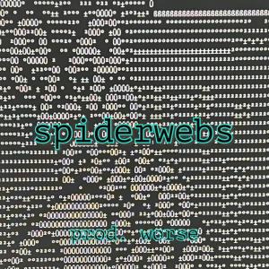 ดาวน์โหลดและฟังเพลง spiderwebs (Explicit) พร้อมเนื้อเพลงจาก ITCOULDBEWORSE