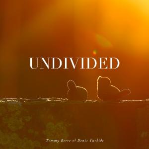 อัลบัม Undivided ศิลปิน Tommy Berre