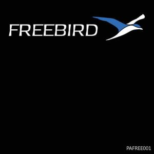 收聽Freebird的Dilemma (original)歌詞歌曲