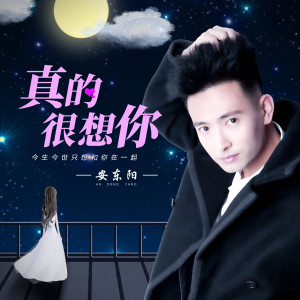 Album 真的很想你 from 安东阳