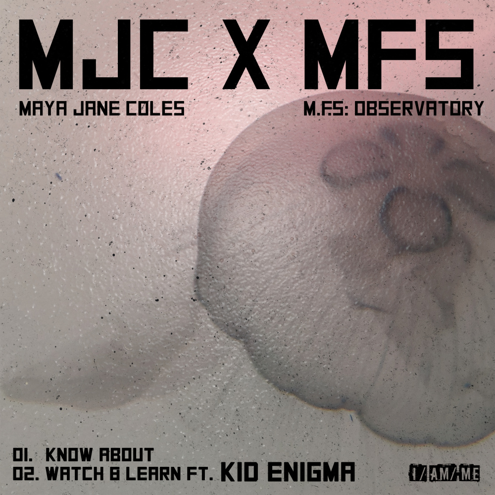 Watch & Learn (feat. Kid Enigma)