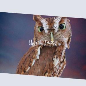 Various的专辑Until Those