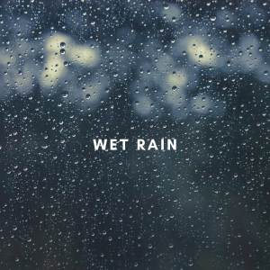 Wet Rain的專輯Gentle Rain