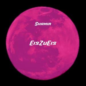 Shamir的專輯EisZuEis (feat. NGP) [Explicit]