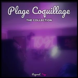 收聽Togi Tunes的Plage Coquillage Full Remake (Ending B, Slowed)歌詞歌曲