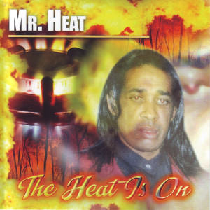 ดาวน์โหลดและฟังเพลง Love and Unity remix (Remix) พร้อมเนื้อเพลงจาก Mr. Heat
