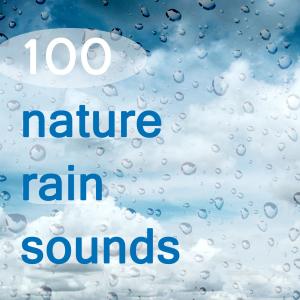 ดาวน์โหลดและฟังเพลง Forest พร้อมเนื้อเพลงจาก Rain Relax