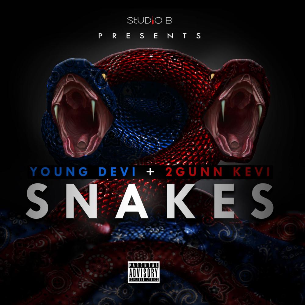 Snakes (feat. Young Devi & 2gunn Kevi) (Explicit)