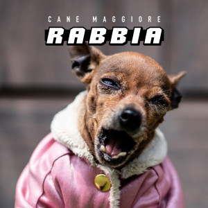 Listen to Paolo Fox (Explicit) song with lyrics from Cane Maggiore