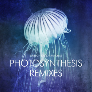 收听Carbon Based Lifeforms的Photosynthesis (Live Version)歌词歌曲