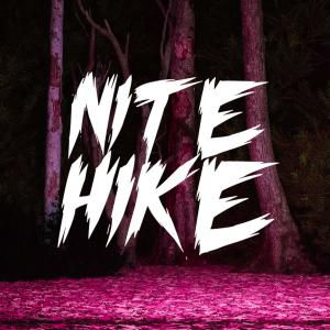 Camp的專輯NITE HIKE