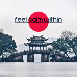 Album Feel Calm Within (Mystic Journey with Gentle Oriental Music) from Healing Yoga Meditation Music Consort