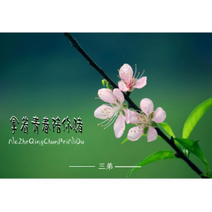 Album 拿着青春陪你赌 from 三弟