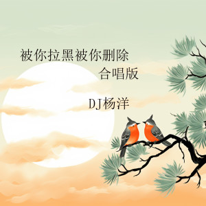 Album 被你拉黑被你删除 (合唱版) from DJ杨洋