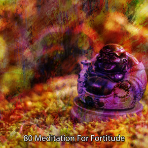 80 Meditation For Fortitude