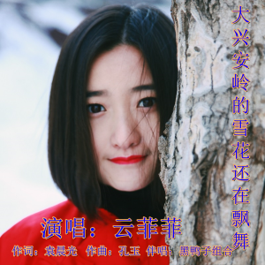 Album 大兴安岭的雪花还在飘舞（云菲菲） from 云菲菲