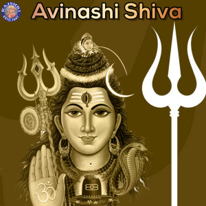 ดาวน์โหลดและฟังเพลง Shiv Tandav Stotra พร้อมเนื้อเพลงจาก Rajessh Iyer