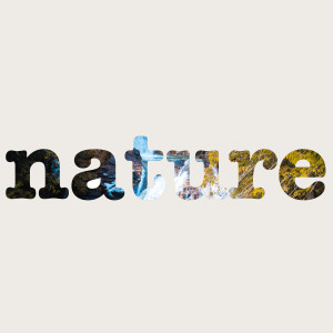 Album Nature oleh Nature Therapy