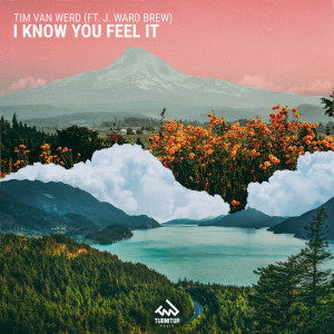 Listen to I Know You Feel It (其他) song with lyrics from Tim van Werd