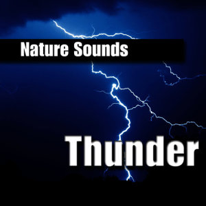 ดาวน์โหลดและฟังเพลง In the Middle of a Thunderstorm พร้อมเนื้อเพลงจาก Nature Sounds
