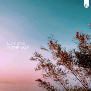 Album Lofunk is the Way from 