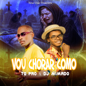 收聽TG Pro的Vou chorar Como歌詞歌曲