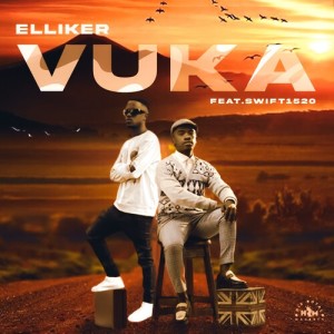 Listen to Vuka (Radio Edit) song with lyrics from Elliker
