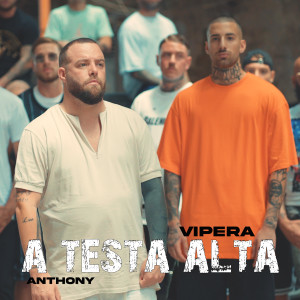 Album A testa alta oleh Vipera