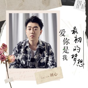 收聽劉心的愛你是我最初的夢想 (DJ阿遠版)歌詞歌曲