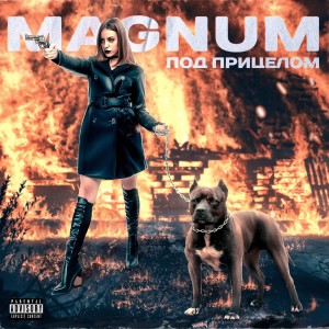 Dengarkan lagu Под прицелом nyanyian Magnum dengan lirik