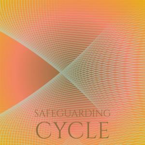Album Safeguarding Cycle from Various