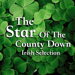 Album The Star Of The County Down Irish Selection from Various