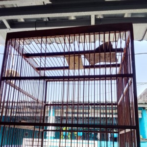 Album Keras kepala from 方敏雅