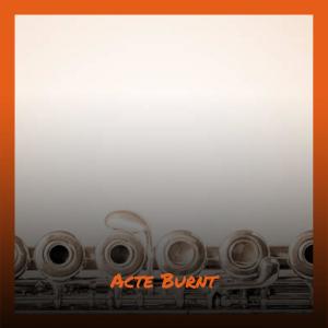 Listen to Brutus Dogshit song with lyrics from Chinda Stes