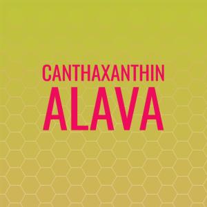 Album Canthaxanthin Alava oleh Various Artists