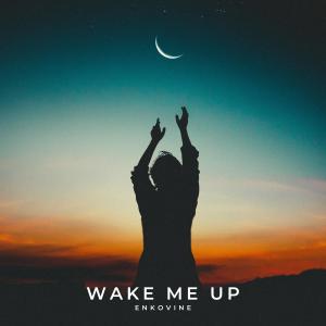 Listen to Wake Me Up song with lyrics from Enkovine