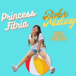 Princess Fitria的专辑Bakso Malang (Remix Version)
